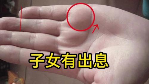 手相看兒女有出息 手掌圓厚多持家