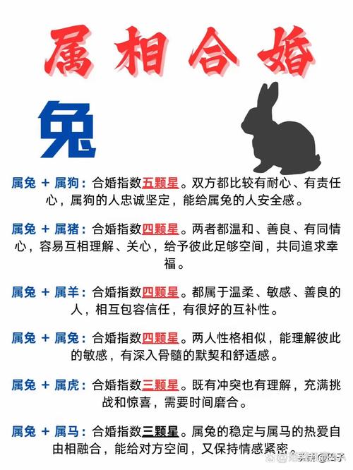 兩個屬兔的人在一起合適嗎