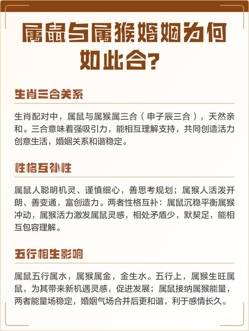 猴和鼠合不合