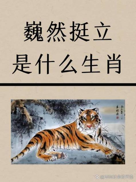 沒本事脾氣大的生肖男 心胸極度狹窄的生肖男