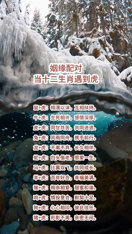 生肖虎喜歡哪個生肖 生肖虎喜歡哪個人