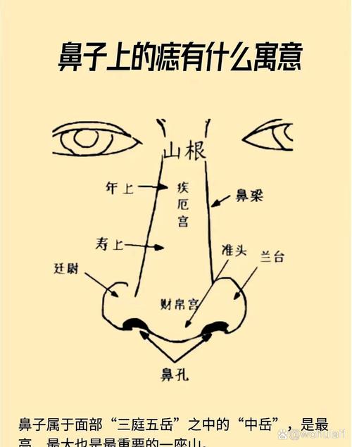 女人鼻子上面有痣代表什么 男人鼻子中間長痣的好不好