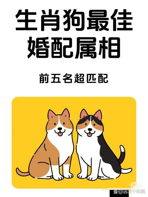 屬狗和屬虎的男生和兔女合適嗎 生肖狗和虎跟兔合嗎