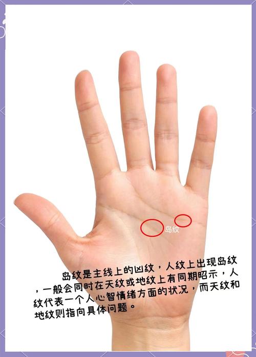 島紋是什么 島紋 手相
