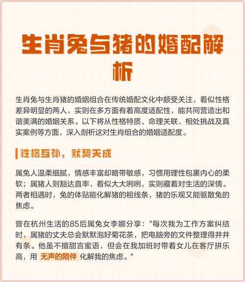 豬兔合不合