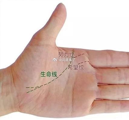 努力線怎么看 努力線詳解