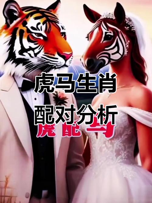 馬和虎的屬相合不合