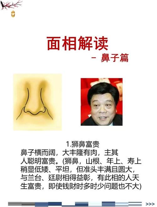 面相學鼻子大 鼻子大鼻梁高的人面相解析