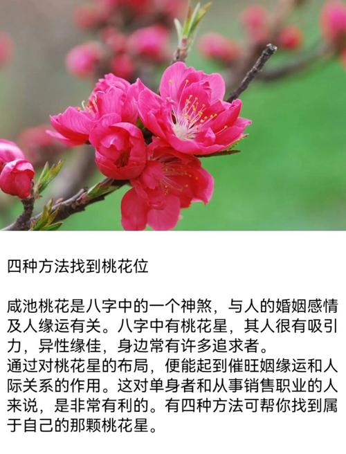 怎么找出自己的桃花位