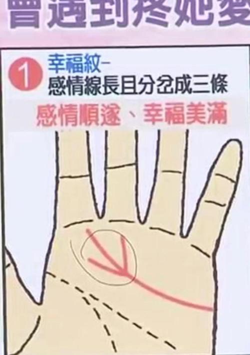 愛(ài)情搶手貨的面相特征