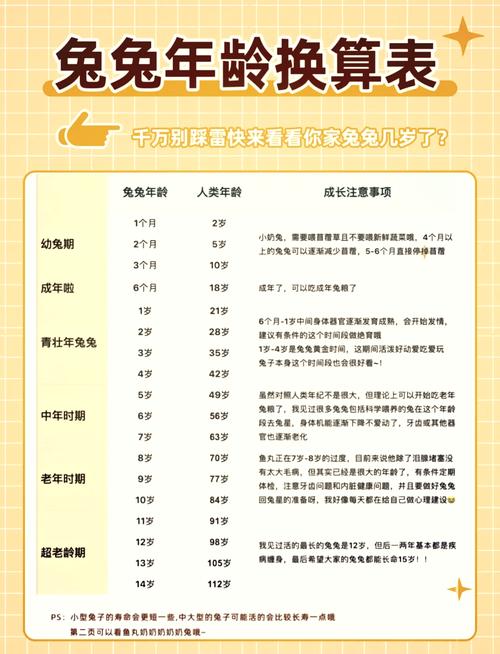 屬兔人正緣出現年齡 屬兔正緣出現時間