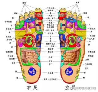 腳趾頭上長痣代表什么圖解大全 腳趾縫有痣看命運圖