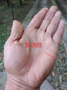 女生手相 有反抗紋手相的女人怎么樣
