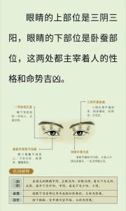 解析體相之三大