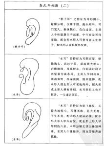 面相解析：面相中的貴耳