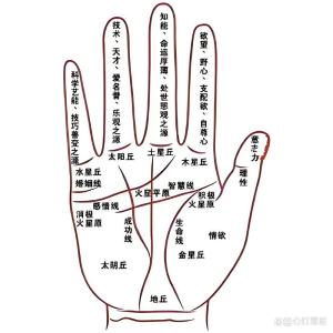 面相手相痣相圖解大全 手心長痣位置圖解