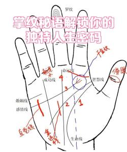 生命線很亂預示著什么