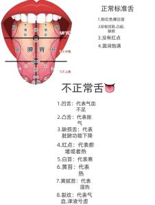 舌頭分析你的命運與前途
