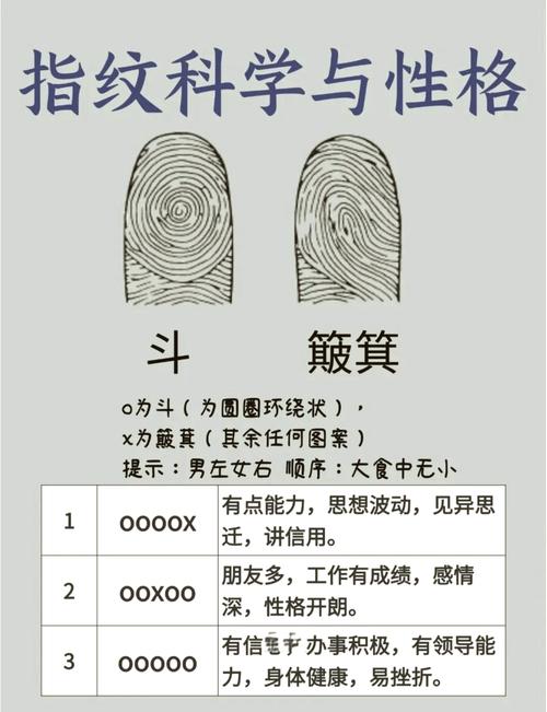 手指指紋看出你性格禍福以及事業
