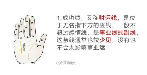 手相沒有成功線前程不可估量嗎