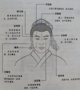 三十八貴骨圖解 雙峰骨財運旺