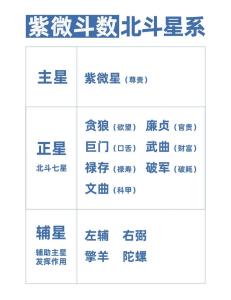 紫微斗數看哪方面最準