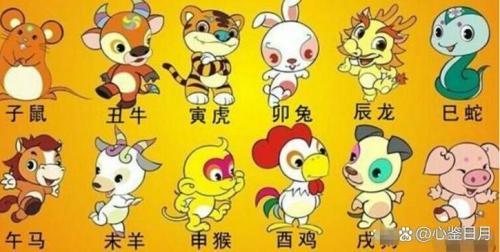 雞爸爸虎媽媽生兔寶寶合不合 酉雞與卯兔相沖
