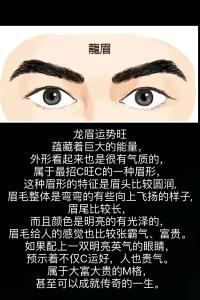 龍眉的特征是什么