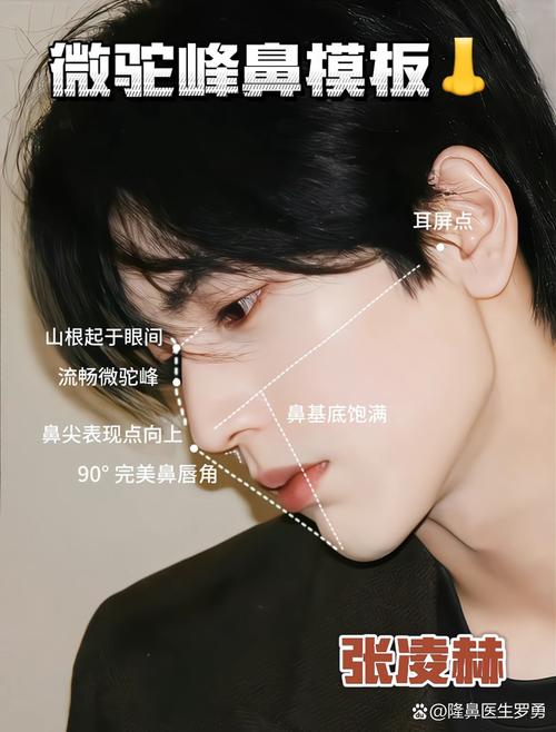 駝峰鼻的男人的命運 駝峰鼻男人個性固執