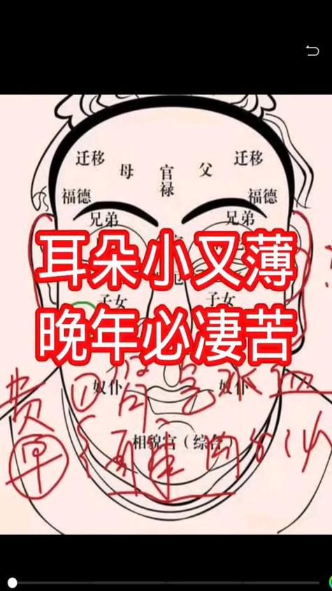 耳朵特別小的女人的命運 守財不易且貴人運不足