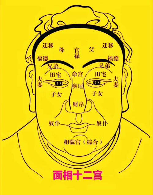 面相圖解：什么面相的人能夠逢兇化吉