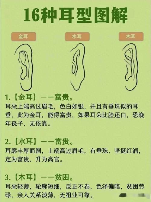 耳朵的形狀與命運圖解 耳朵的幾種形狀圖解