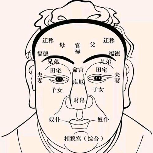 發財男人面相 田宅宮飽滿