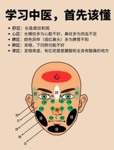 面相圖解：面部各部位各代表什么內臟部位