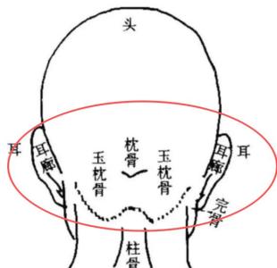 為什么富貴的人都是大腦門 枕骨凸起的人富貴嗎