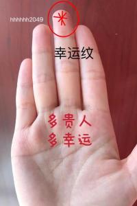 非常罕見的十大吉祥手相紋 中指細長