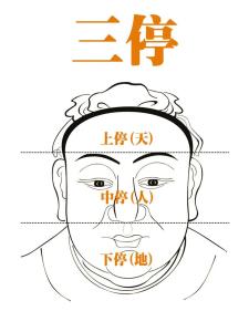 面相看人簡(jiǎn)單技巧 面相三停之說(shuō)