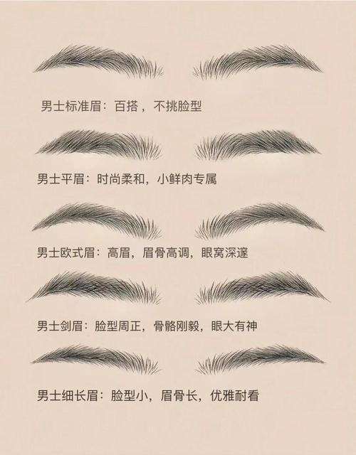 面相學：男人眉毛看相