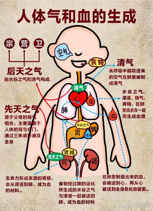 氣運(yùn)讓人體有多少變化