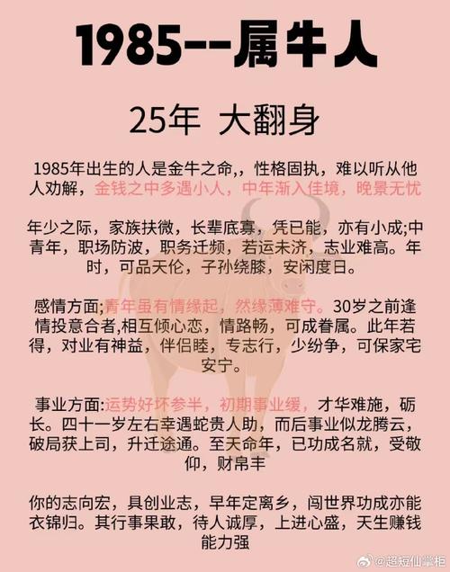 85牛一生最運氣最好是哪年