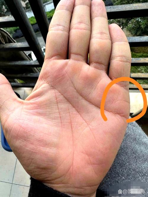 男人會出軌的手相特征