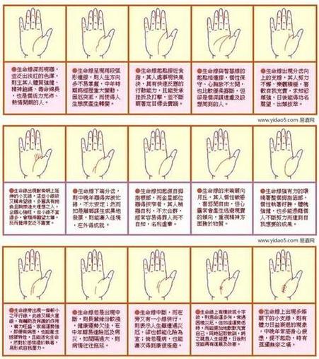 活力線怎么看 活力線詳解