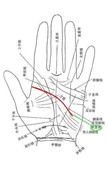 縱欲線怎么看 縱欲線詳解
