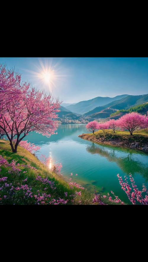 開運桃花好風水