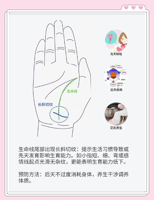 為什么不能隨便看手相 小心把自己置于危險中