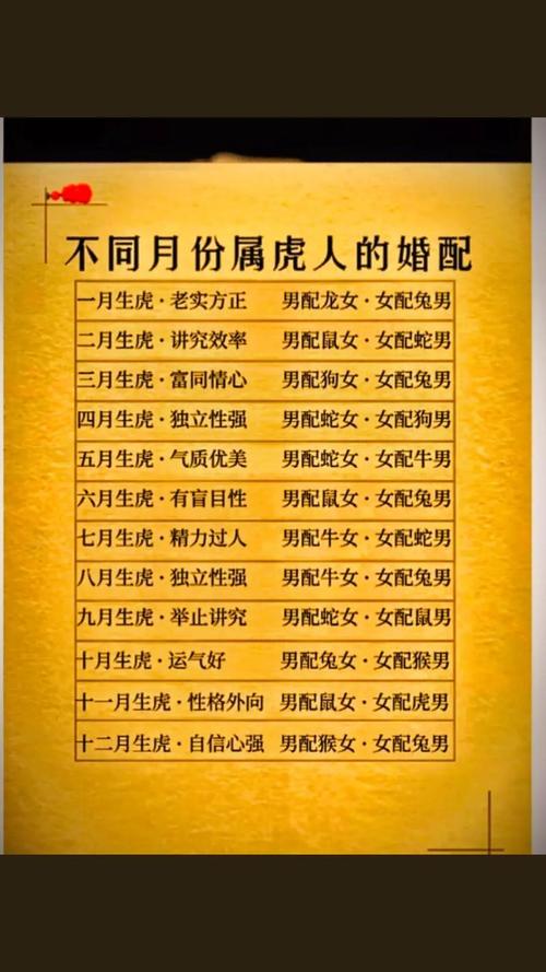 12屬相男最心疼屬虎女排名