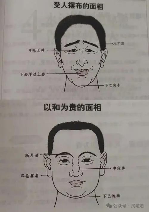 面相尖下巴 尖下巴的男人面相解析