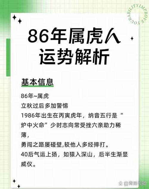86年虎40歲后十年大運運程