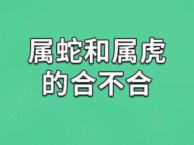 86年的虎媽生蛇寶寶好嗎