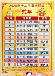 2025年12生肖運勢解析完整版 12生肖2025年全年運勢運程
